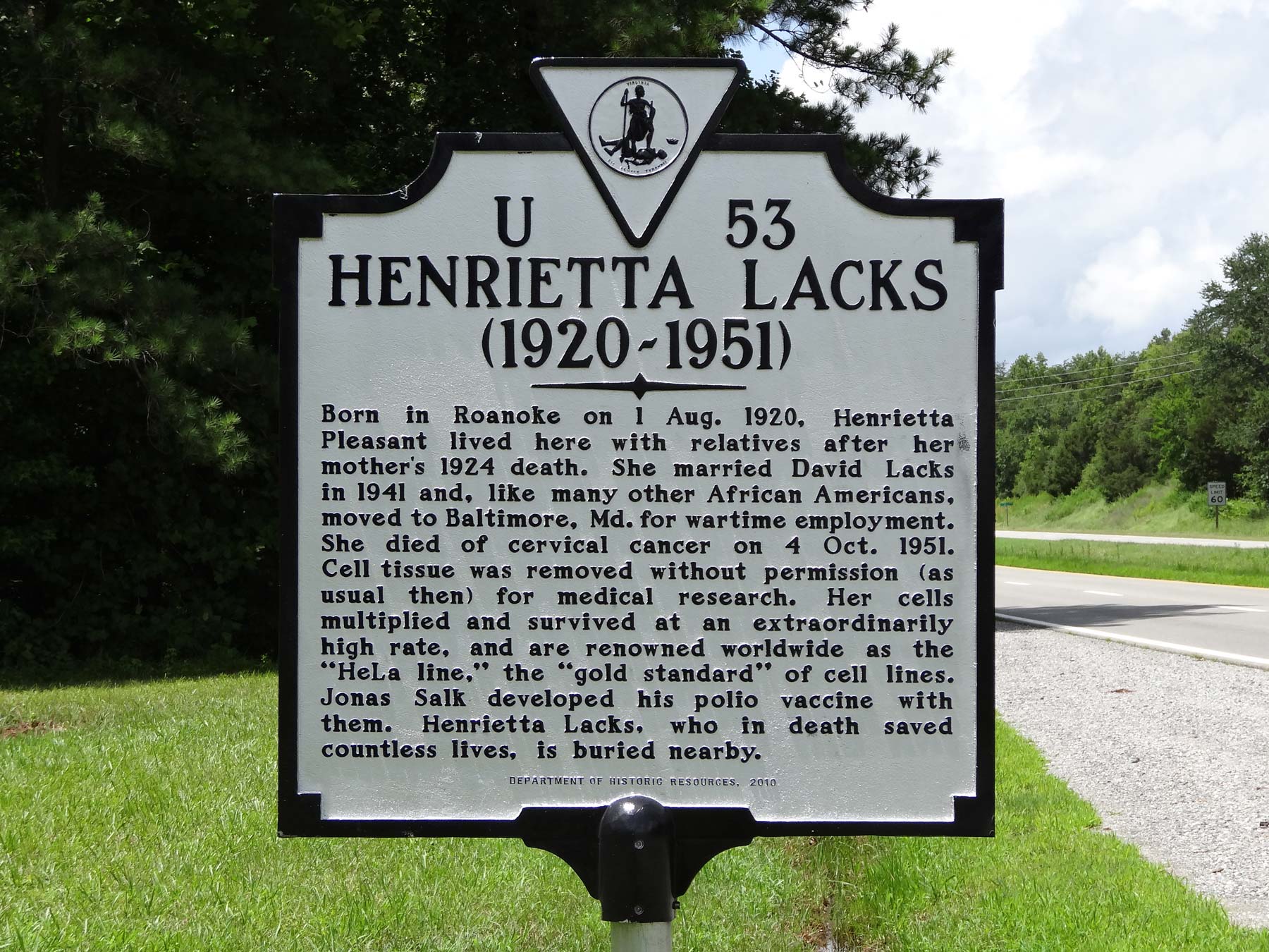 HeLa - henrietta-lacks-2