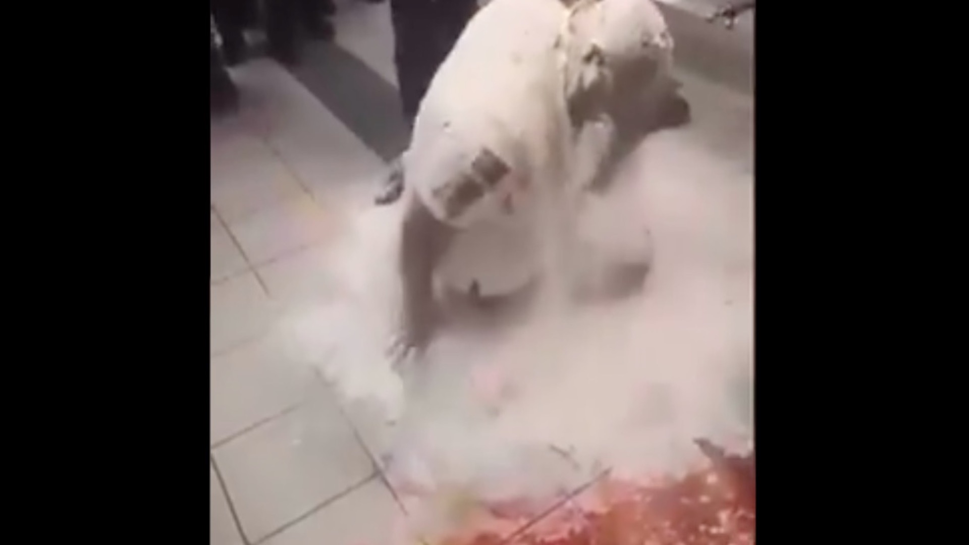 #Video Policías convierten en “hombre pizza” a compañero que celebraba su cumpleaños