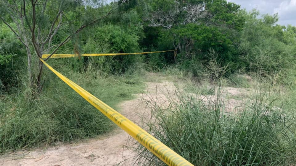 Inicia segundo día de búsqueda en el campo de La Bartolina, Tamaulipas
