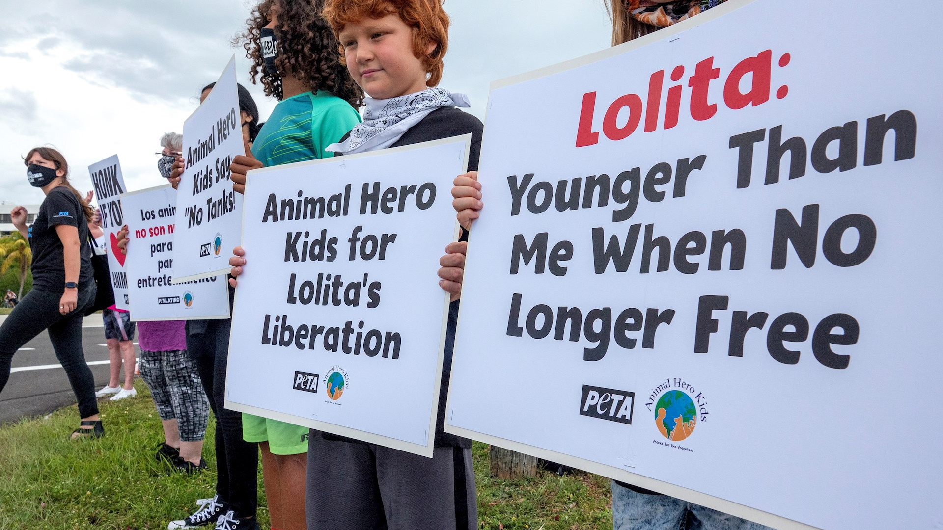 Activistas de PETA exigen liberar en Miami a la orca Lolita