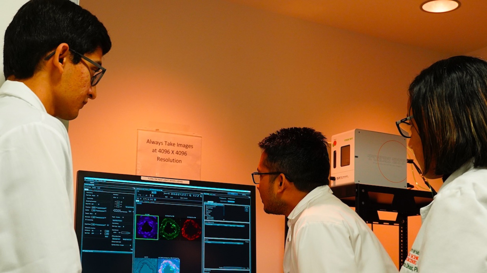 Medicamentos para VIH podrían combatir problemas neurológicos Medicamentos para VIH podrían combatir problemas neurológicos