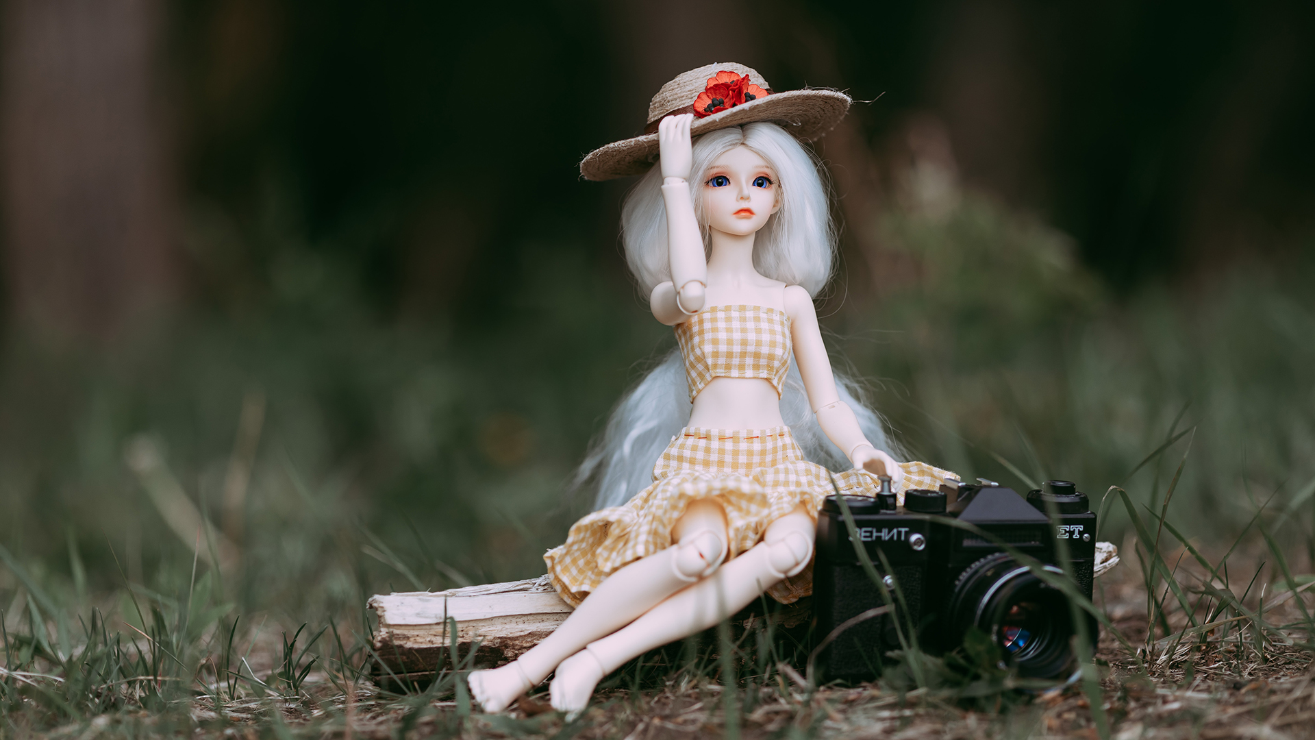 Mexicano se declara culpable en EE.UU. por pornografía infantil