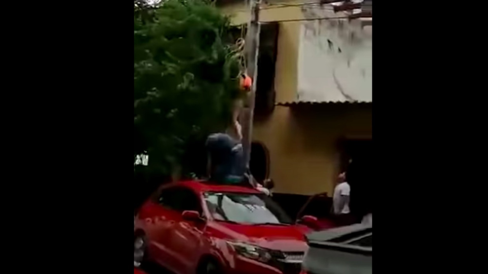 #Video Mujer queda colgada de un poste tras romperse su paracaídas en Puerto Vallarta