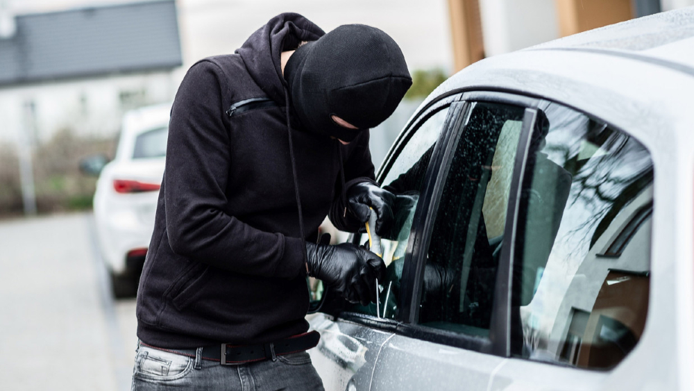 En primer semestre de 2022, han sido robados 68 mil 386 vehículos: TResearch