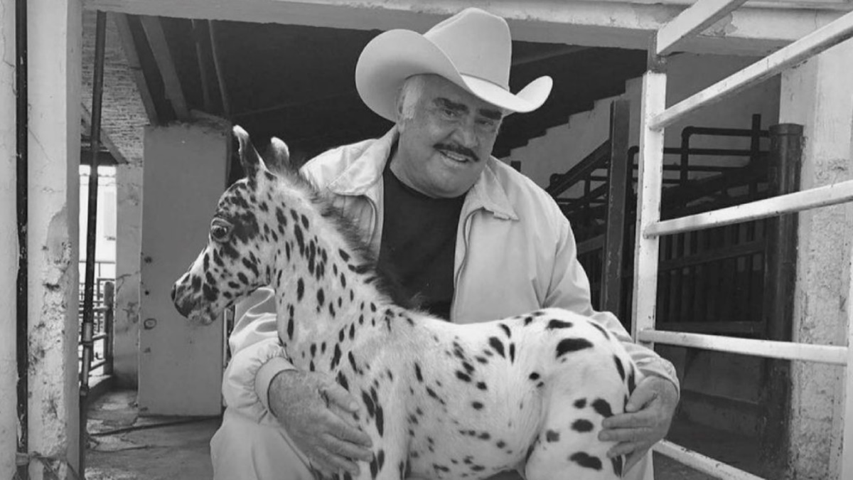 Descartan daño cerebral de Vicente Fernández - vicente-fernandez-cantante-2