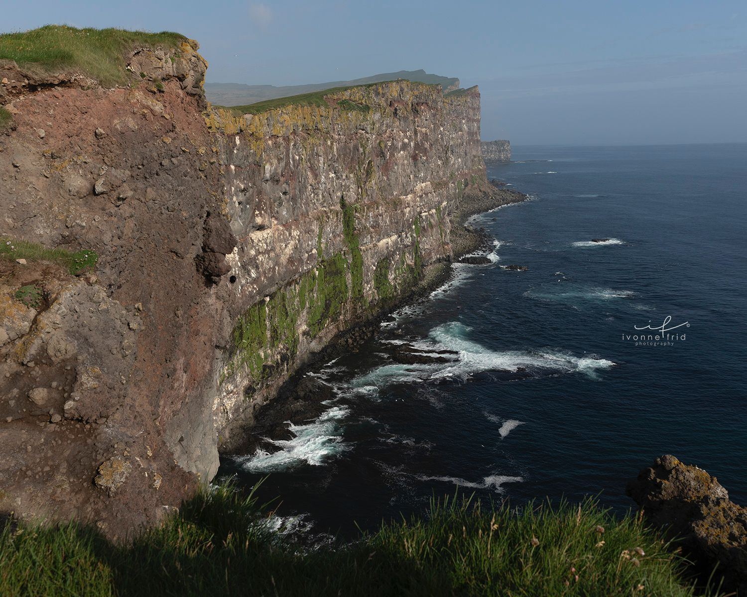 Los puffins de Islandia, por Ivonne Frid - whatsapp-image-2021-08-09-at-144112