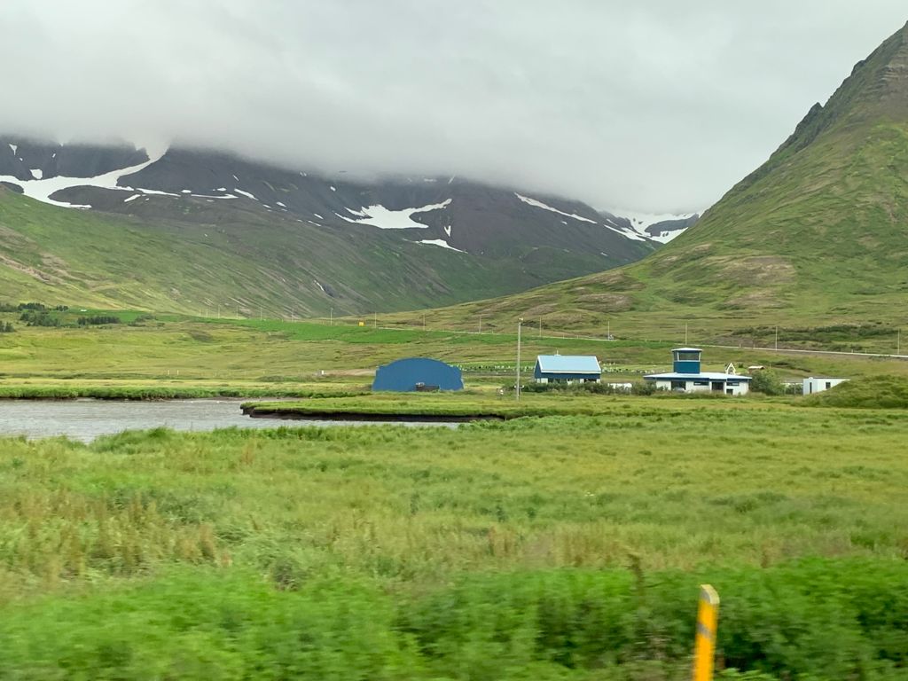 Los caballos islándicos, por Ivonne Frid - whatsapp-image-2021-08-20-at-200306-2