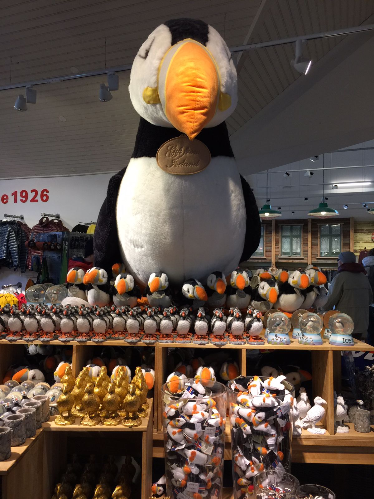 Islandia: el país más seguro del planeta - whatsapp-image-2021-08-25-at-083213-4-1