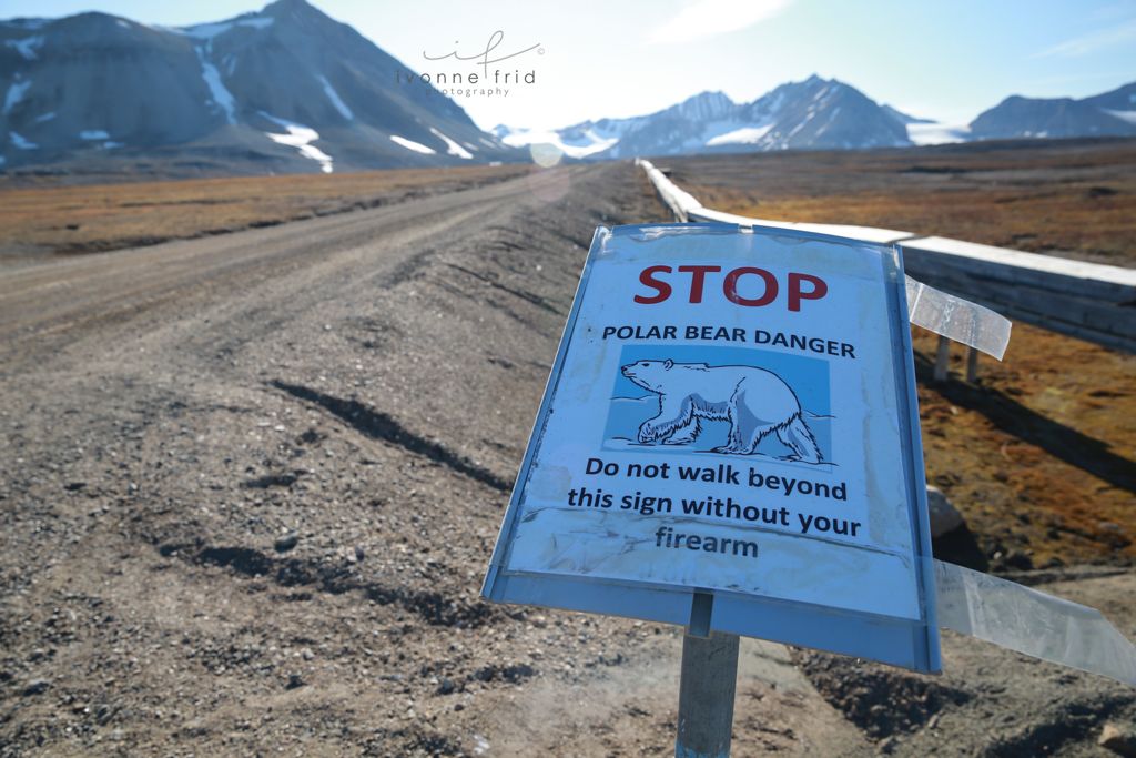 Las semillas que podrían salvar a la humanidad, por Ivonne Frid - 4-1