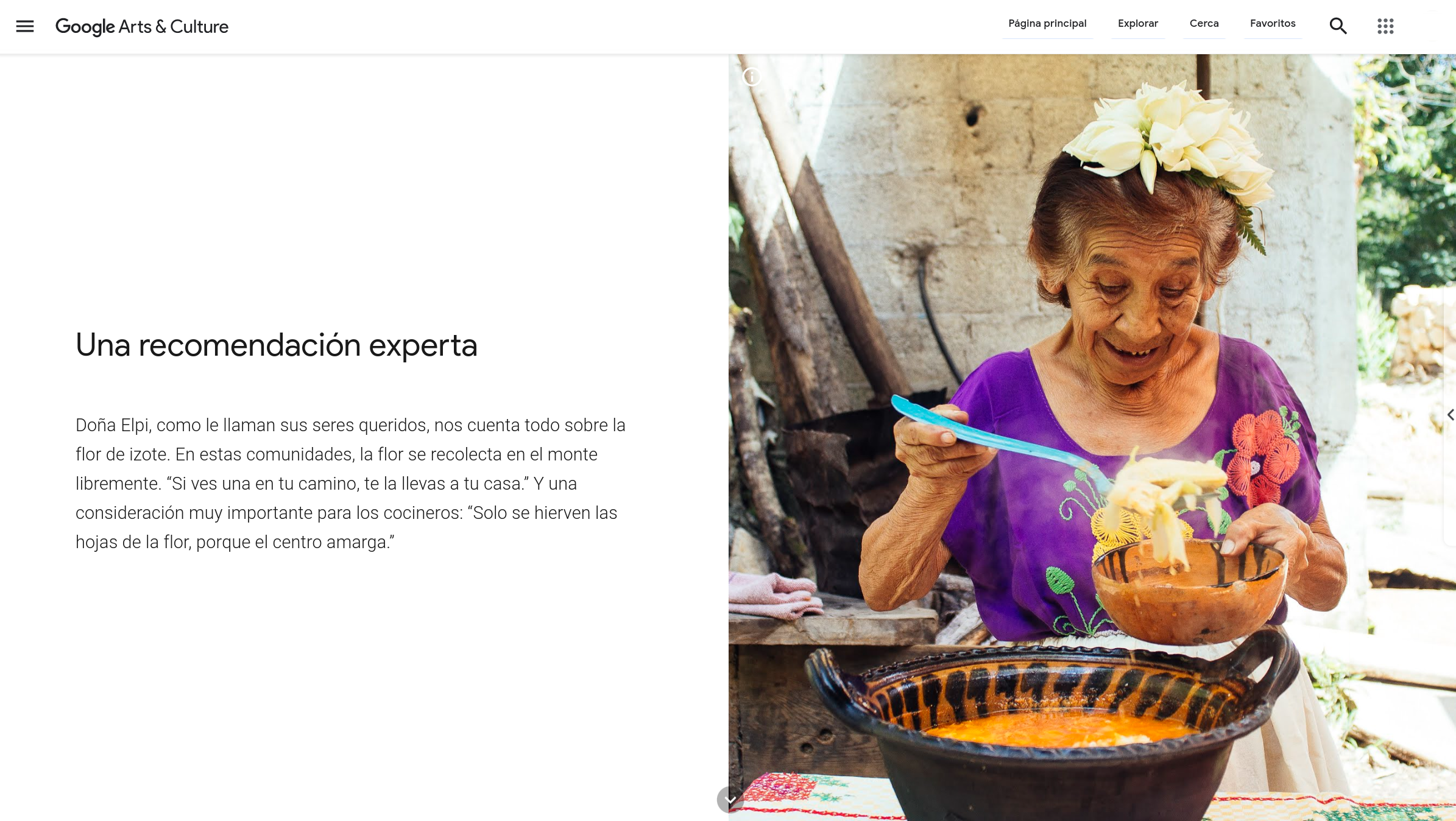 Google Arts & Culture presenta: Sabores de México - 4-flor-de-izote-colectivo-rokunin-google-arts-culture