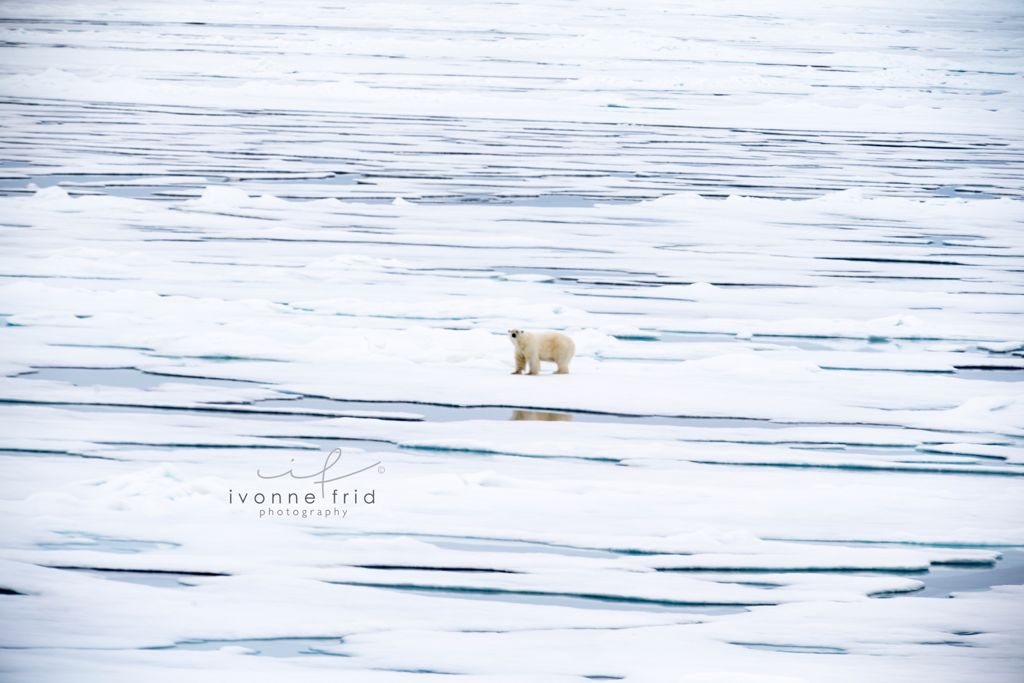 Las semillas que podrían salvar a la humanidad, por Ivonne Frid - 7
