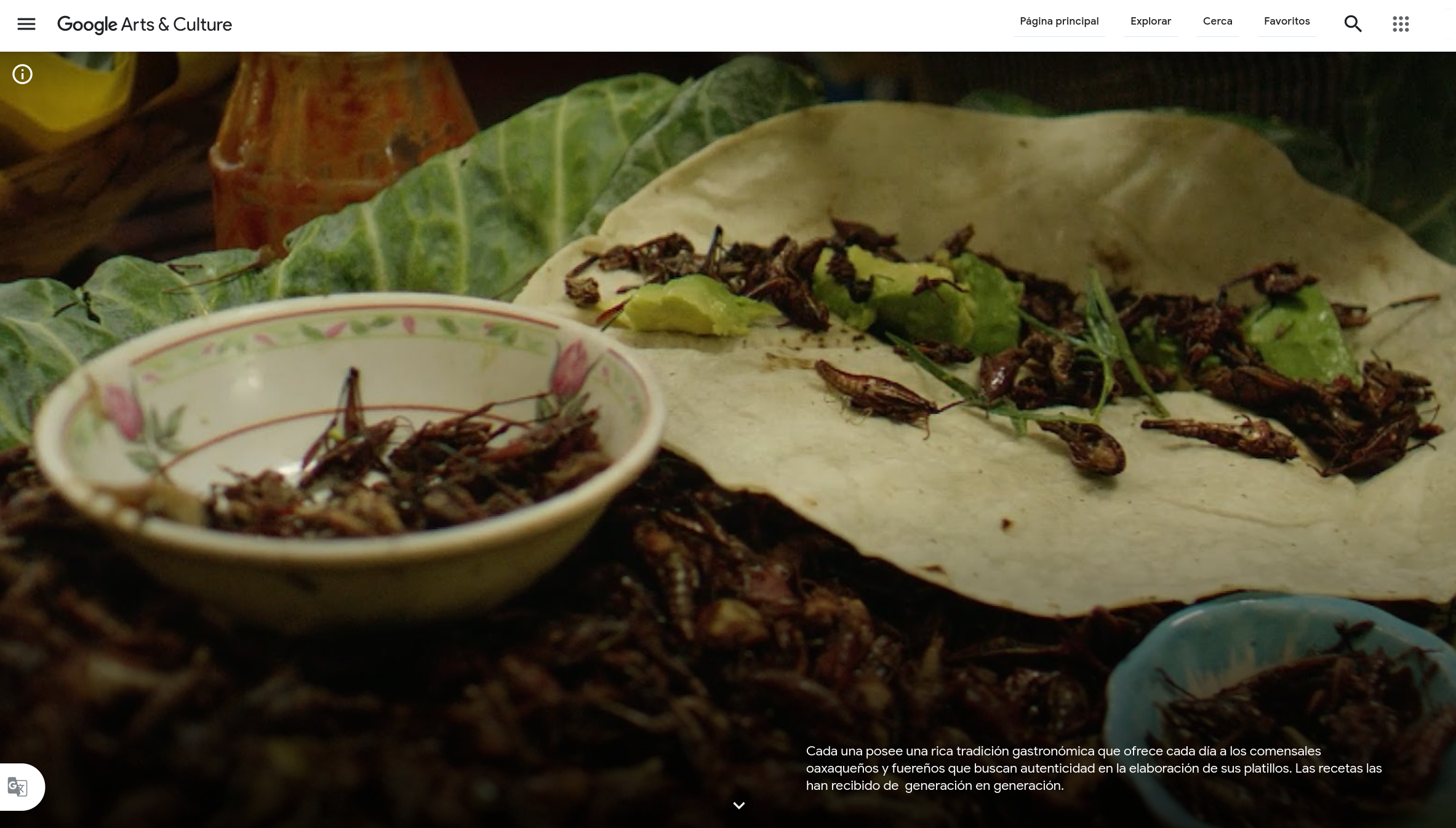 Google Arts & Culture Presenta: Sabores De México