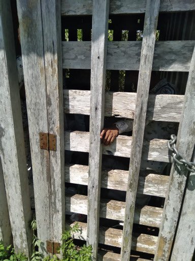 Liberan en Chiapas a agentes de la GN y Migración tras cinco días retenidos - agentes-de-la-guardia-nacional-en-jaulas