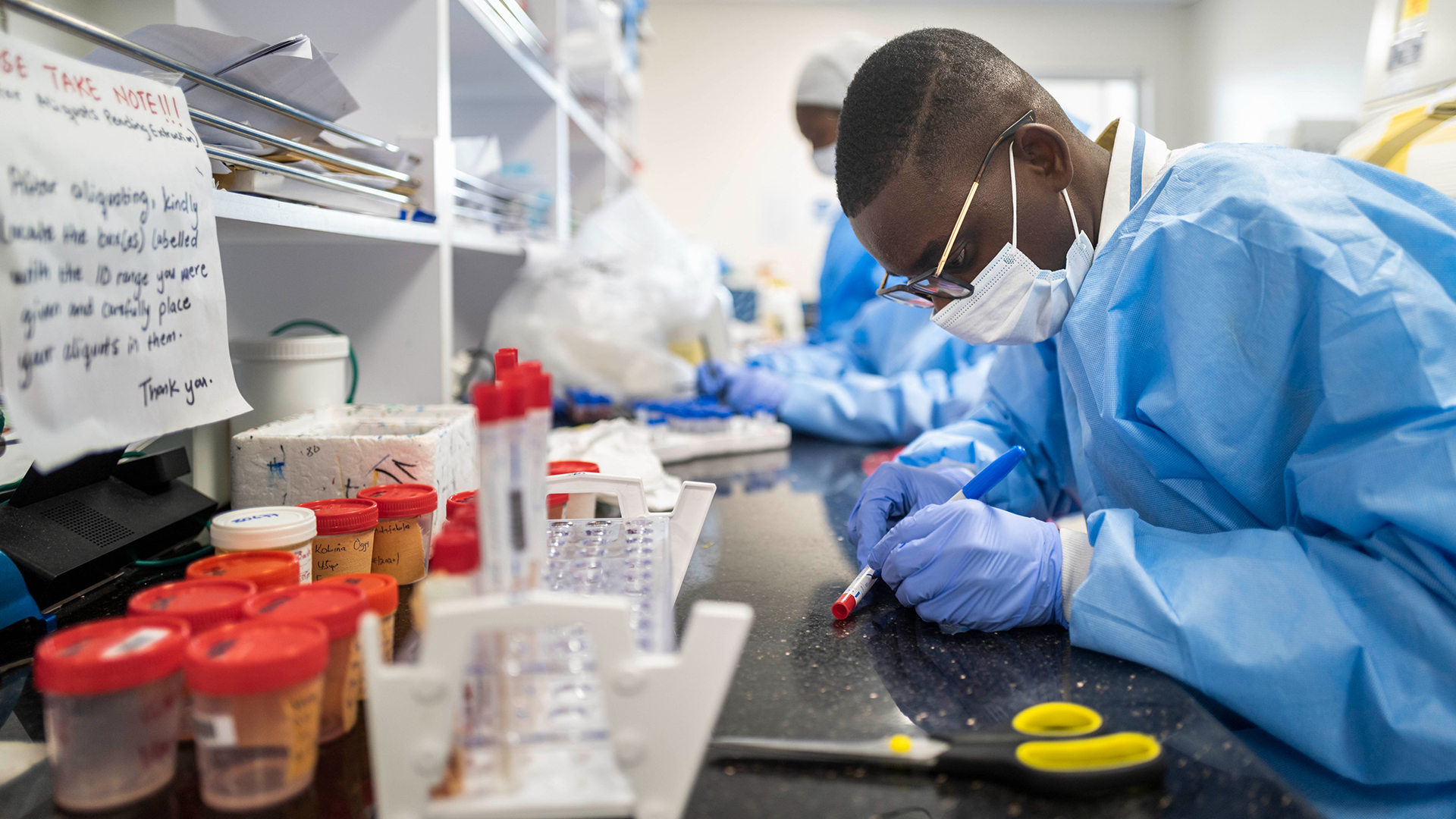 OMS forma nuevo comité de expertos para investigar origen del COVID-19