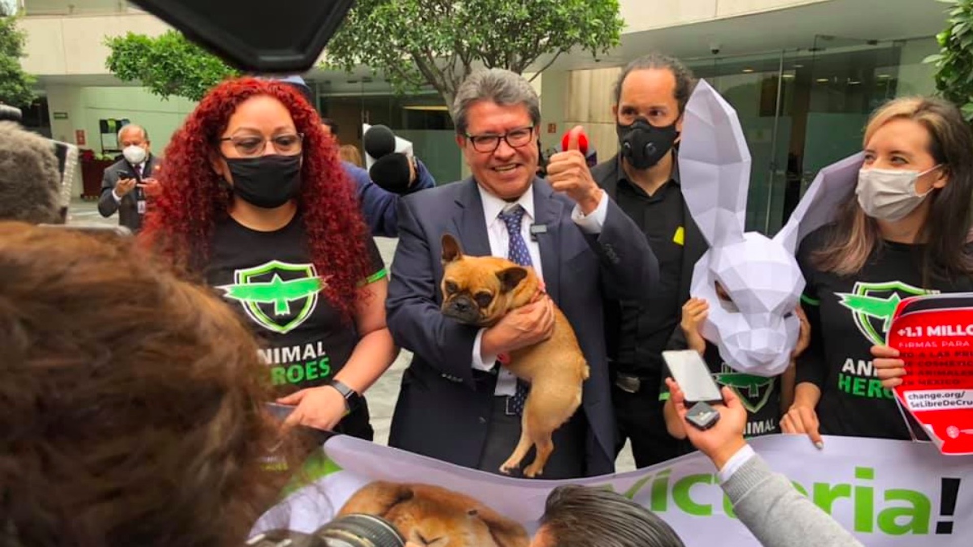 Senado aprueba ley para prohibir pruebas cosméticas en animales