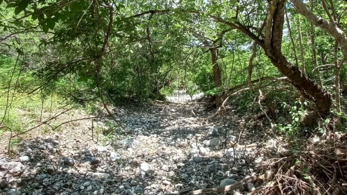 Hallazgo de restos en Barranca de la Carnicería abre línea de investigación en Caso Ayotzinapa, señalan autoridades