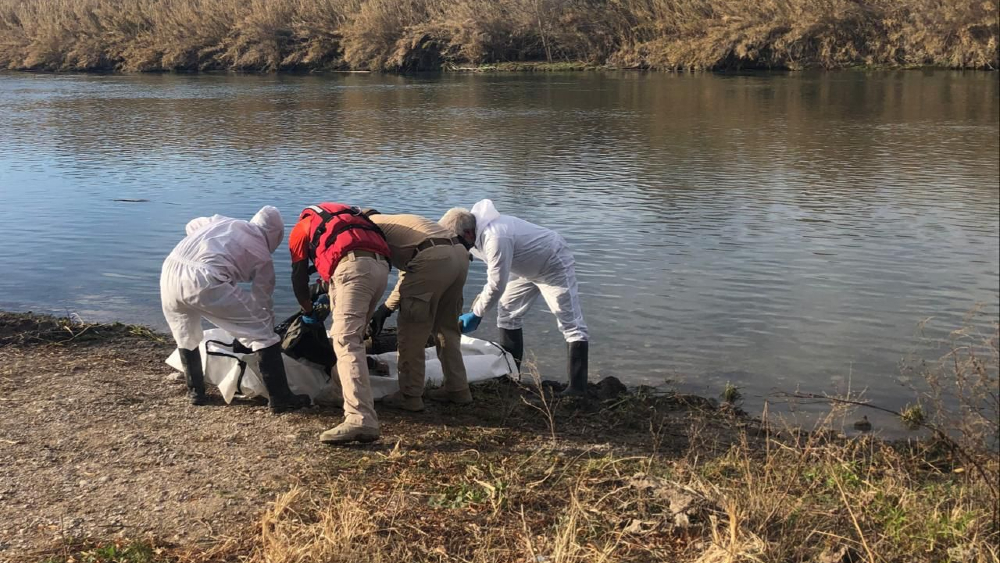 Grupos Beta recuperan 46 cuerpos de migrantes en lo que va de 2021