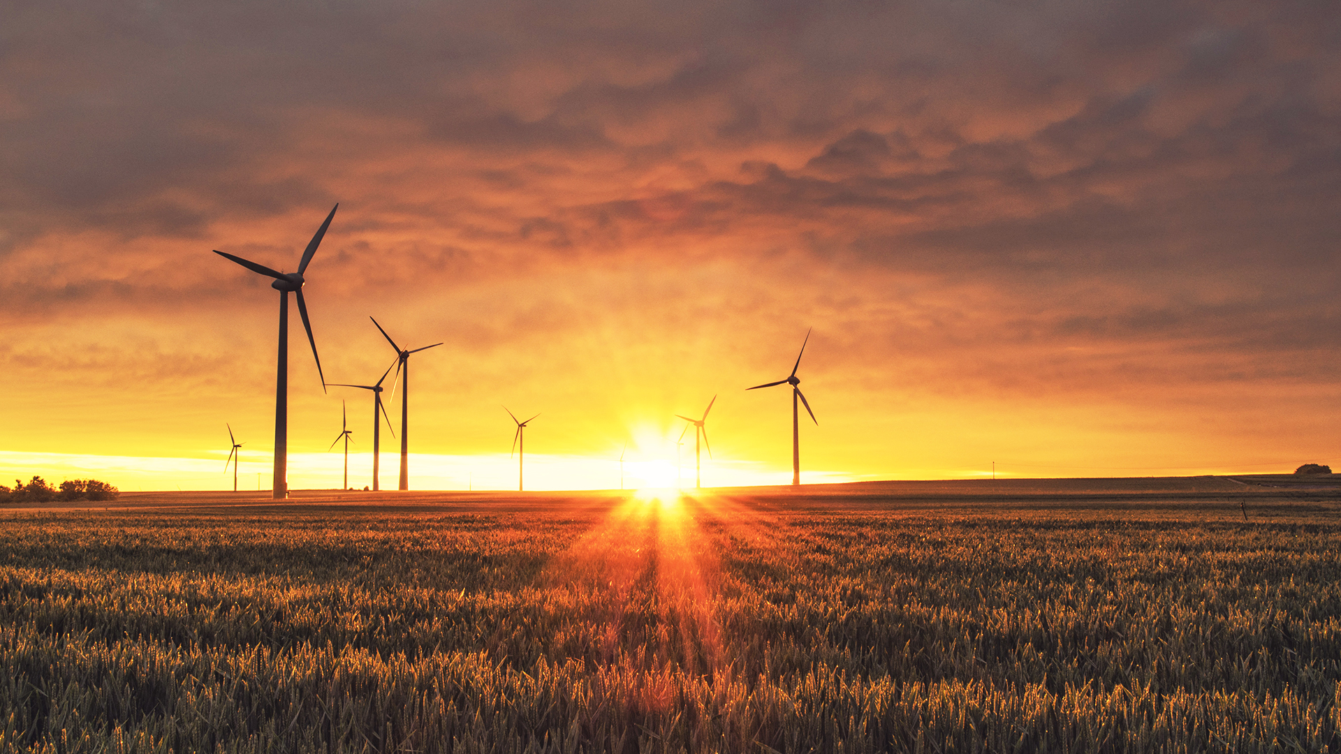 Respuesta a la emergencia climática, clave para formar Gobierno en Alemania