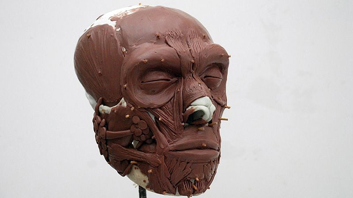 Reconstruyen en Holanda el rostro del primer neandertal neerlandés Reconstruyen en Holanda el rostro del primer neandertal neerlandés