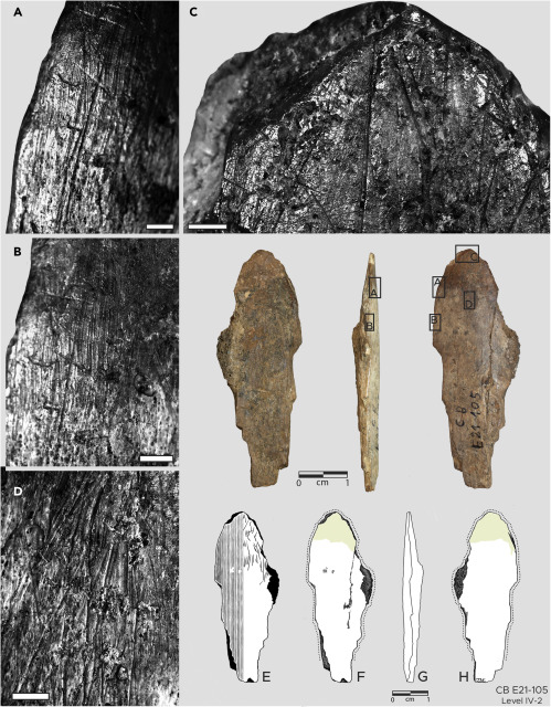 Descubren herramientas de hueso de hace 120 mil años para fabricar ropa - herramienta-de-hueso-para-confeccionar-ropa
