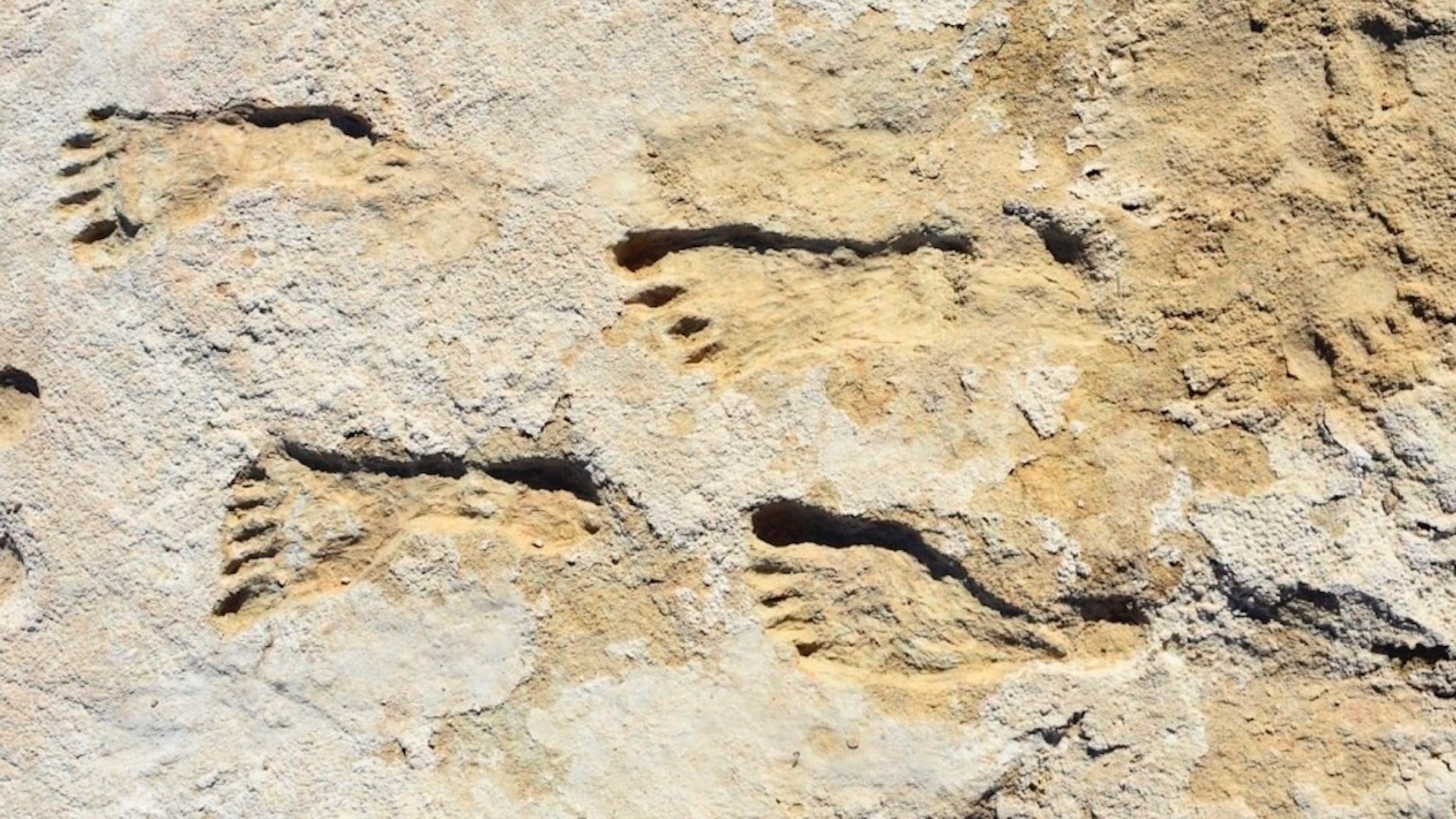 Huellas en Nuevo México revelan presencia humana en América hace 23 mil años