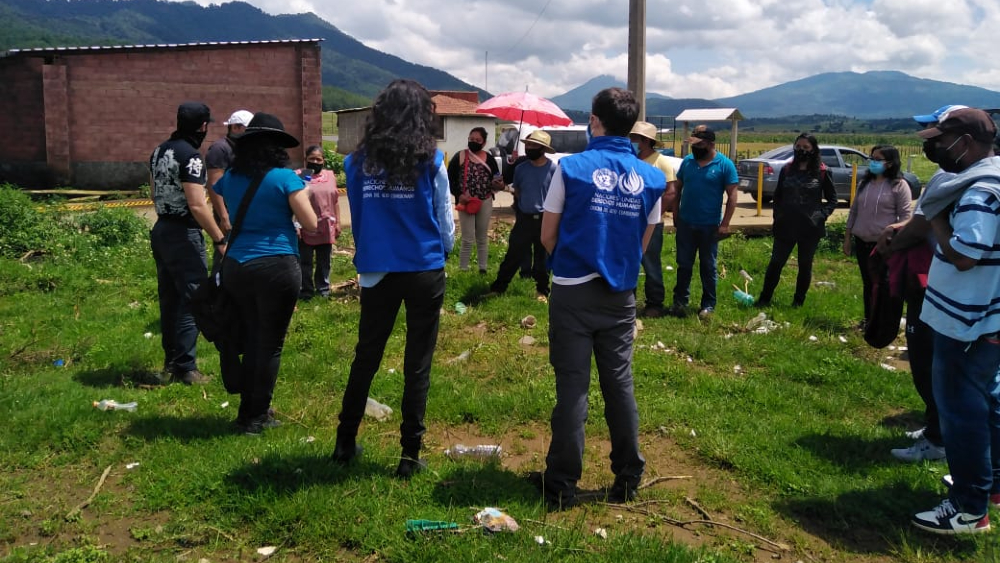 ONU-DH pide a autoridades dar seguridad a indígenas purépechas