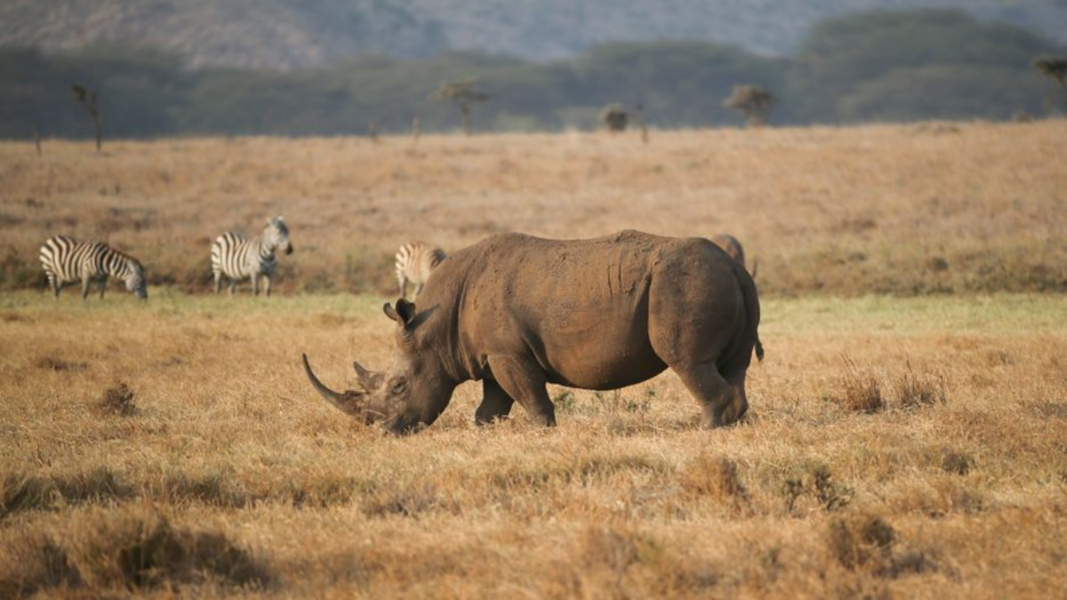 Kenia, mi amigo masai y su cuenta en Instagram, por Ivonne Frid