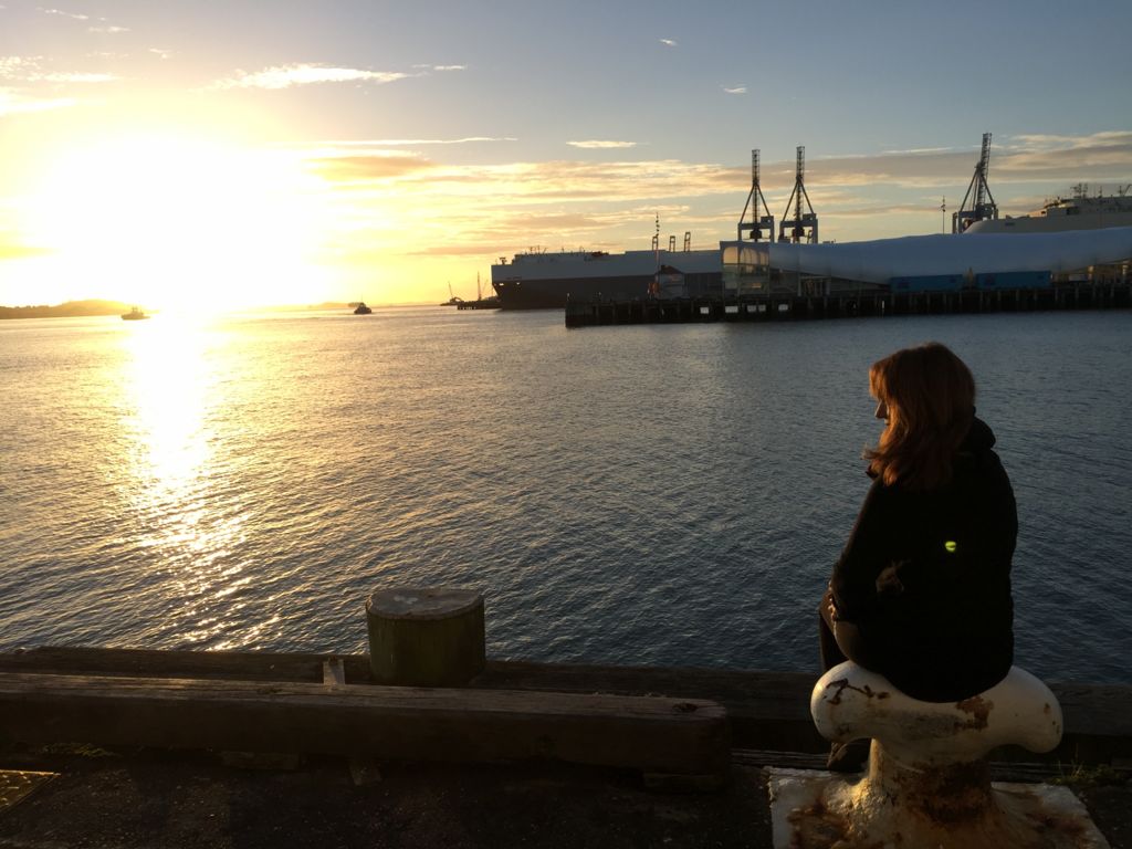 Las auroras boreales y australes, por Ivonne Frid - ivonne