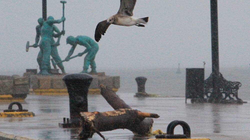 México prevé una “temporada activa” con 40 huracanes y ciclones; cinco podrían impactar el país México prevé una “temporada activa” con 40 huracanes y ciclones; cinco podrían impactar el país