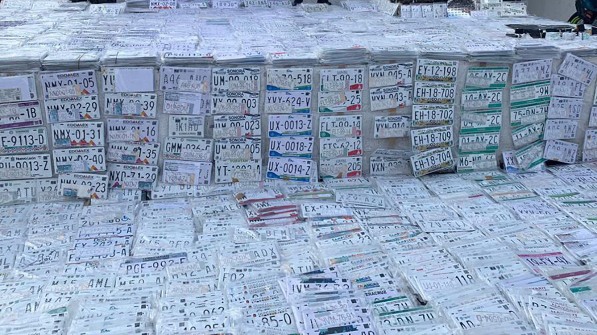 Decomisan en CDMX cinco mil juegos de placas apócrifas; hay cinco detenidos