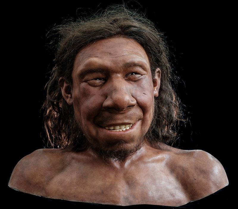Reconstruyen en Holanda el rostro del primer neandertal neerlandés - reconstruccion-craneal-y-facial-del-primer-neandertal-neerlandes-krijn