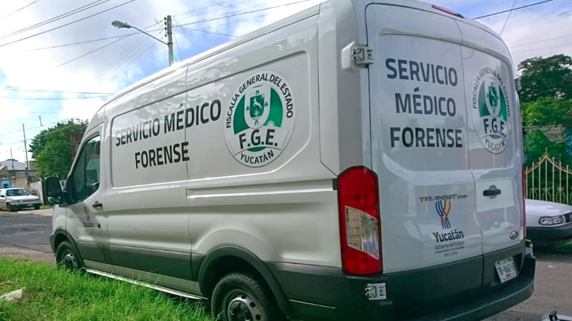 Hombre se suicida junto con sus 13 perros en Yucatán