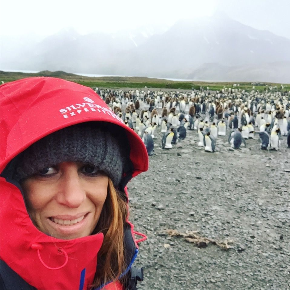 Las peligrosas estaciones balleneras del Atlántico Sur, por Ivonne Frid - whatsapp-image-2021-09-05-at-122906