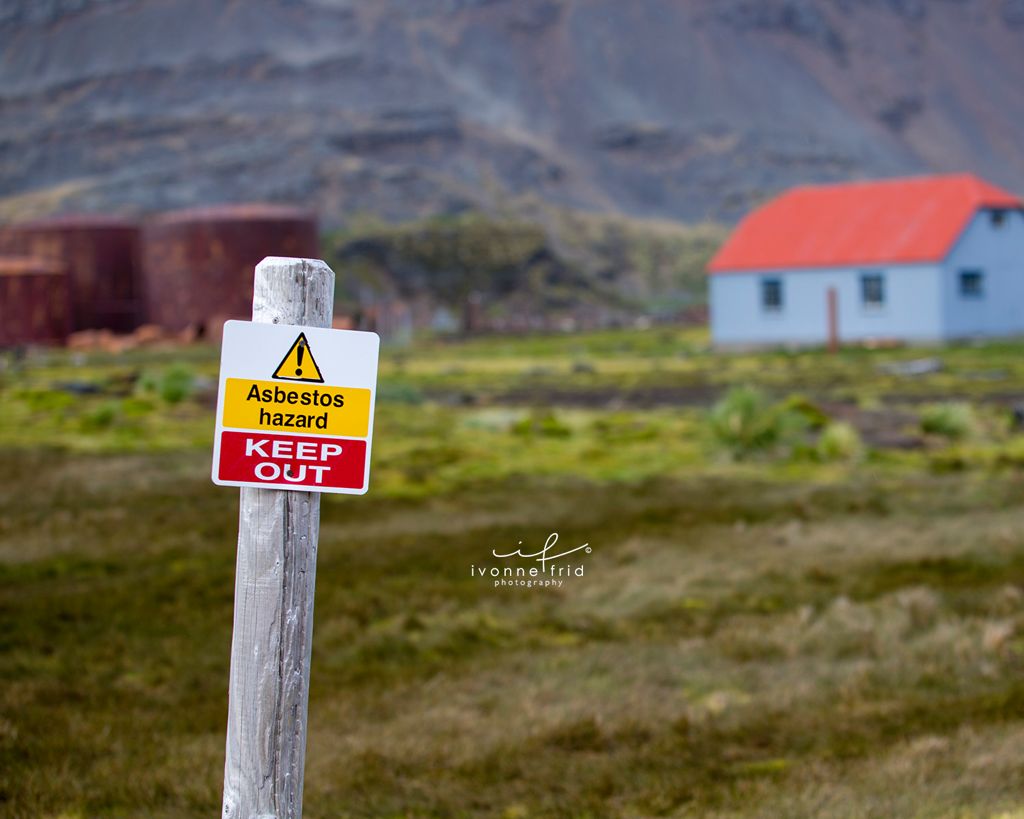 Las peligrosas estaciones balleneras del Atlántico Sur, por Ivonne Frid - whatsapp-image-2021-09-05-at-122907-2