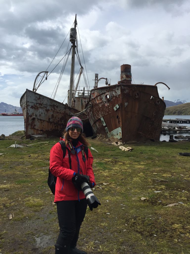 Las peligrosas estaciones balleneras del Atlántico Sur, por Ivonne Frid - whatsapp-image-2021-09-05-at-122907