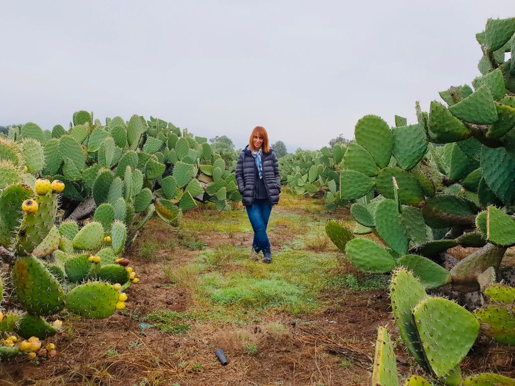 Las Pirámides de Teotihuacan desde el cielo, por Ivonne Frid - whatsapp-image-2021-09-10-at-120830-3