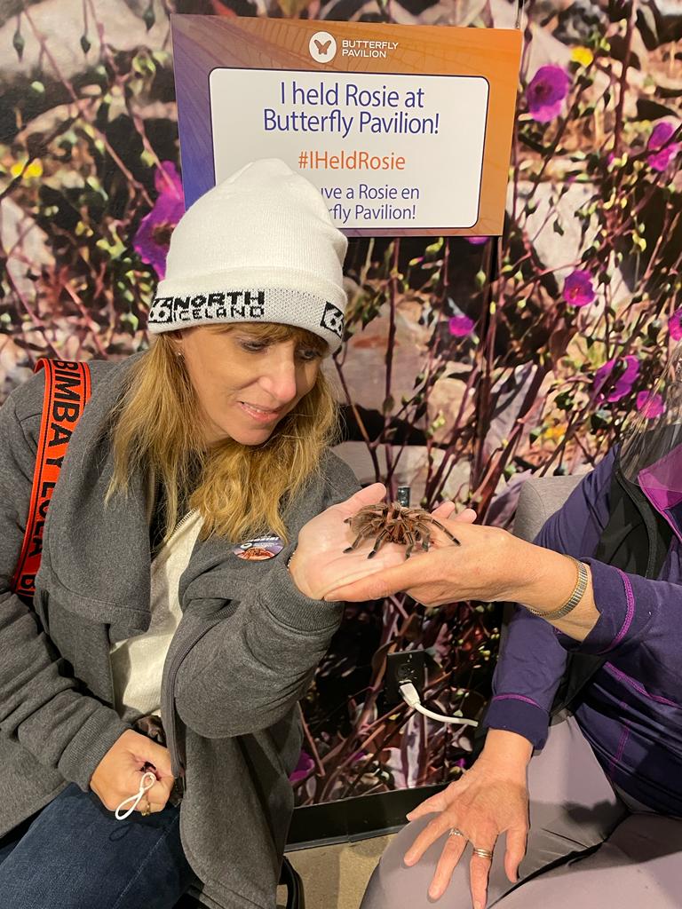 Migración de miles de tarántulas en Colorado, por Ivonne Frid - 1-2