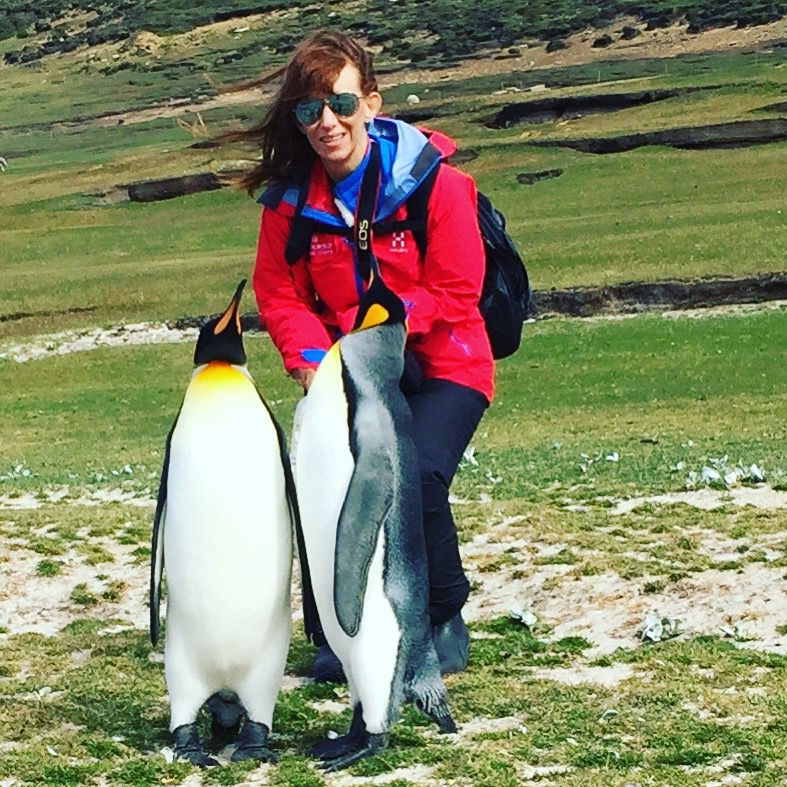 Mis amigos los pingüinos de la Antártida, por Ivonne Frid - 1