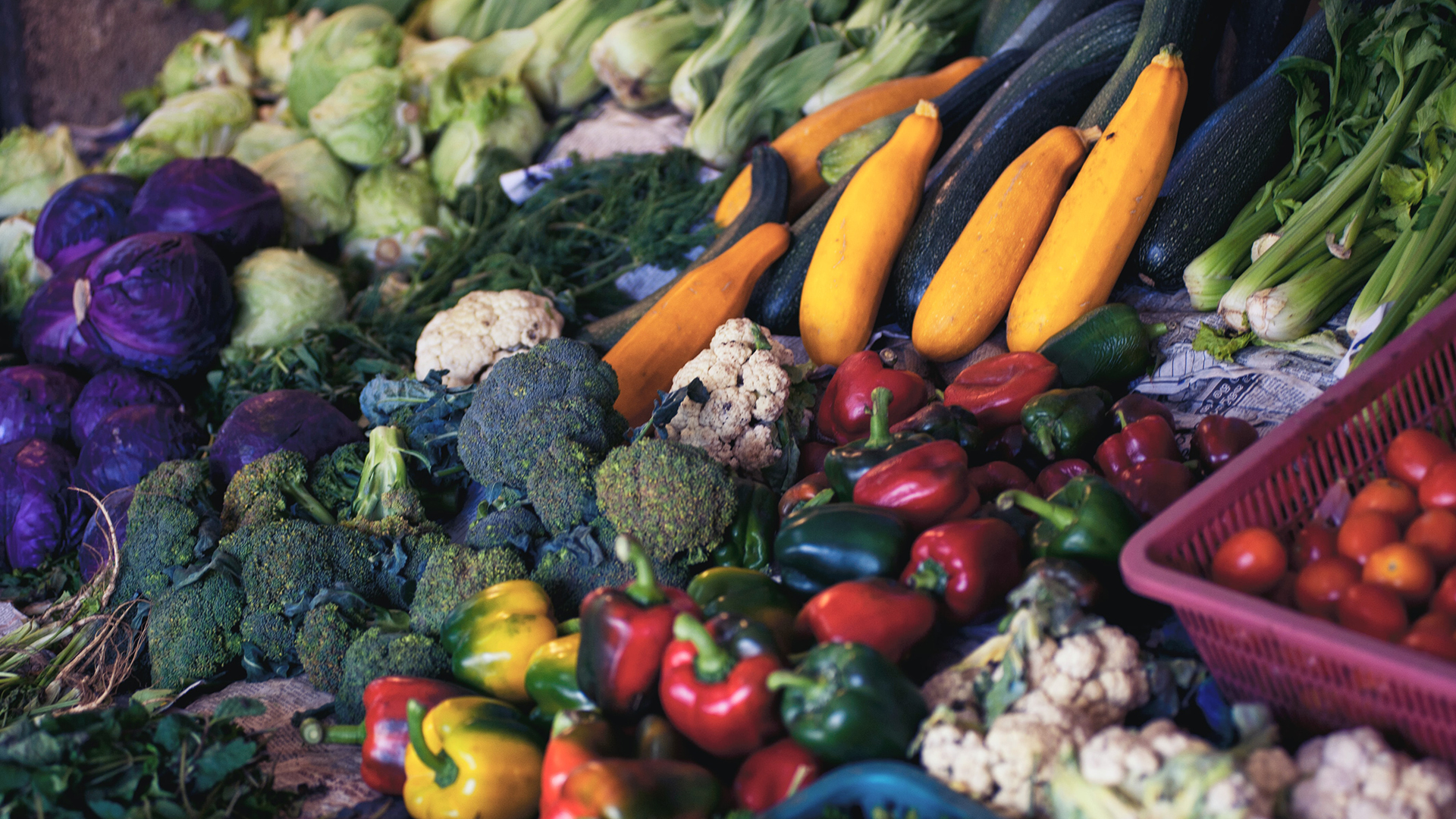 ONU dice que 3 mil millones de personas carecen de acceso a dieta saludable