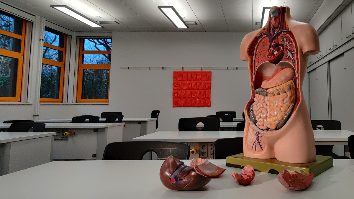 México ofrece tratamiento para curar la hepatitis C en dos meses