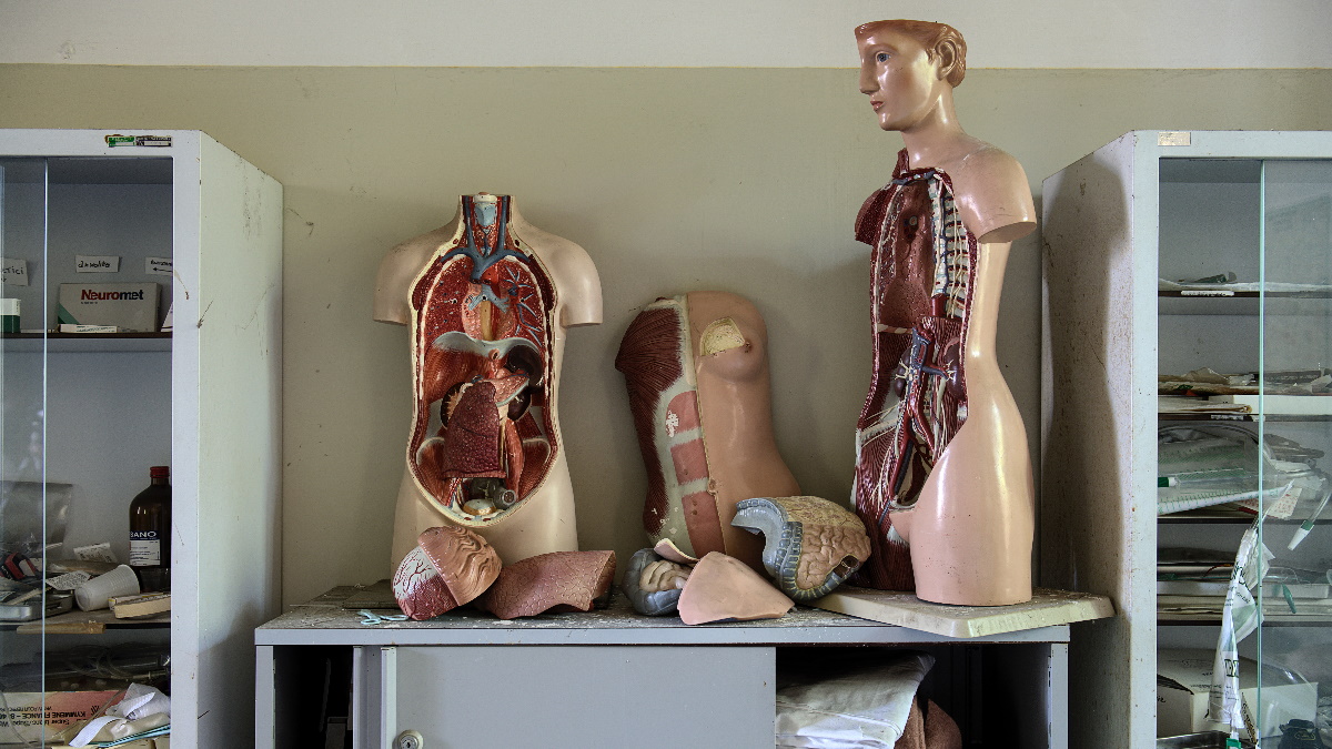 Hepatitis B lleva milenios infectando a los humanos Hepatitis B lleva milenios infectando a los humanos