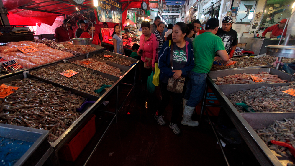 México recupera certificación de camarón para ser exportado a EE.UU.