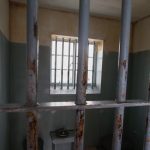 Sentencian en Texas a una mujer por el abuso sexual de un menor en Veracruz