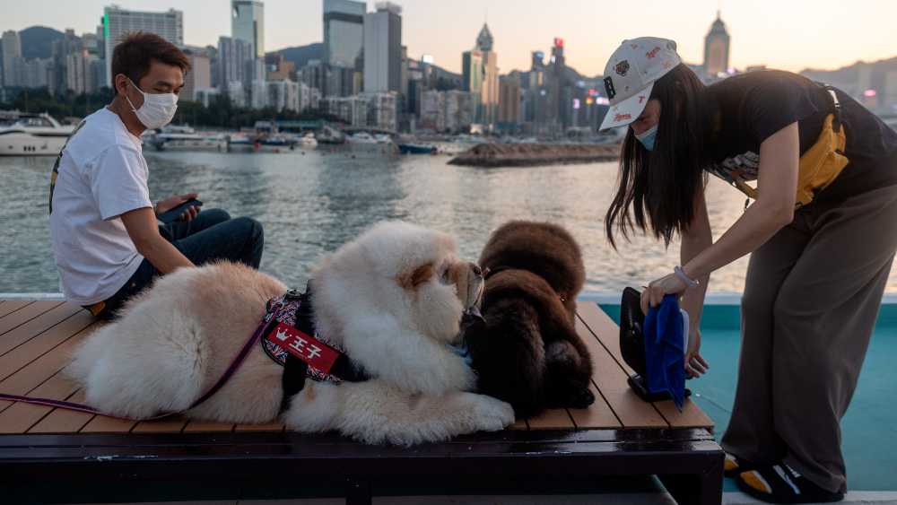 China detecta 17 nuevos casos de COVID-19 China detecta 17 nuevos casos de COVID-19