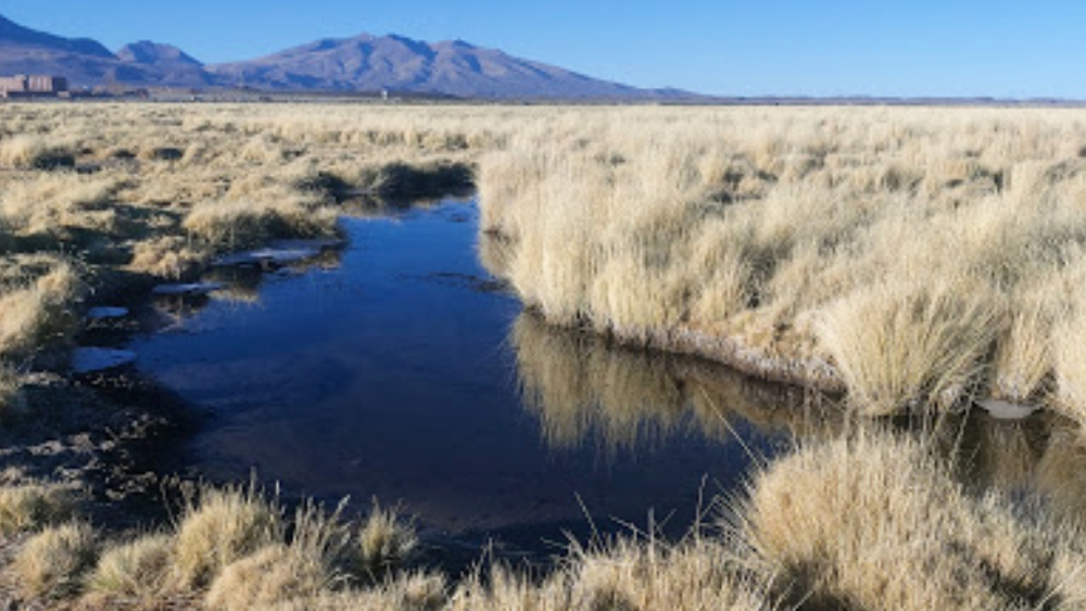 Hallan cuerpo en descomposición de migrante haitiana en el norte de Chile Hallan cuerpo en descomposición de migrante haitiana en el norte de Chile