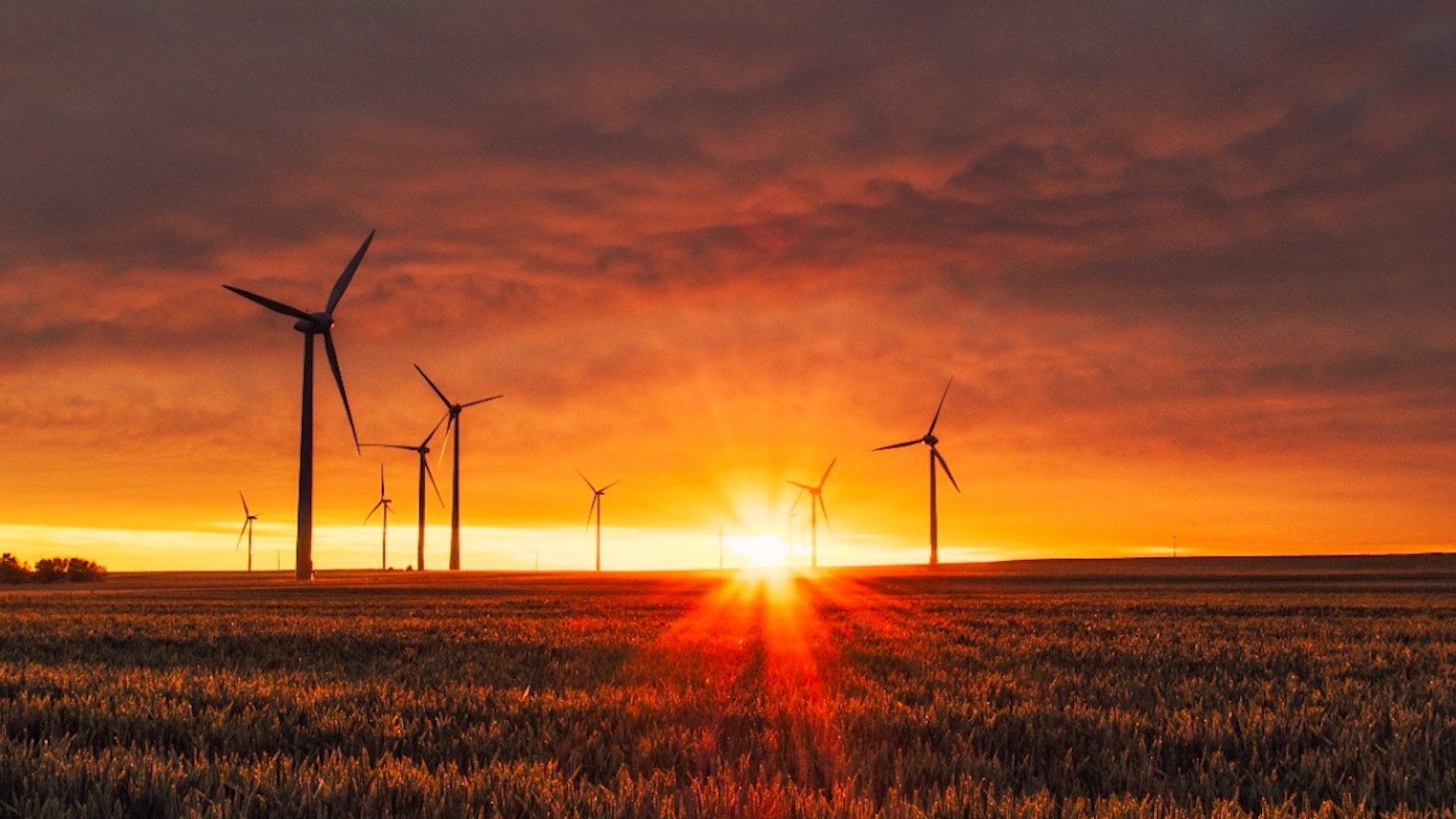 Las energías renovables son la solución; la opinión de Enrique de la Madrid