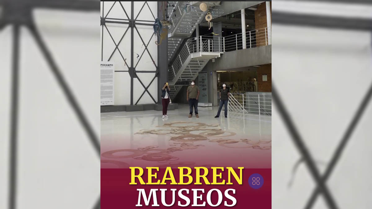 Gaceta UNAM: reabren los museos