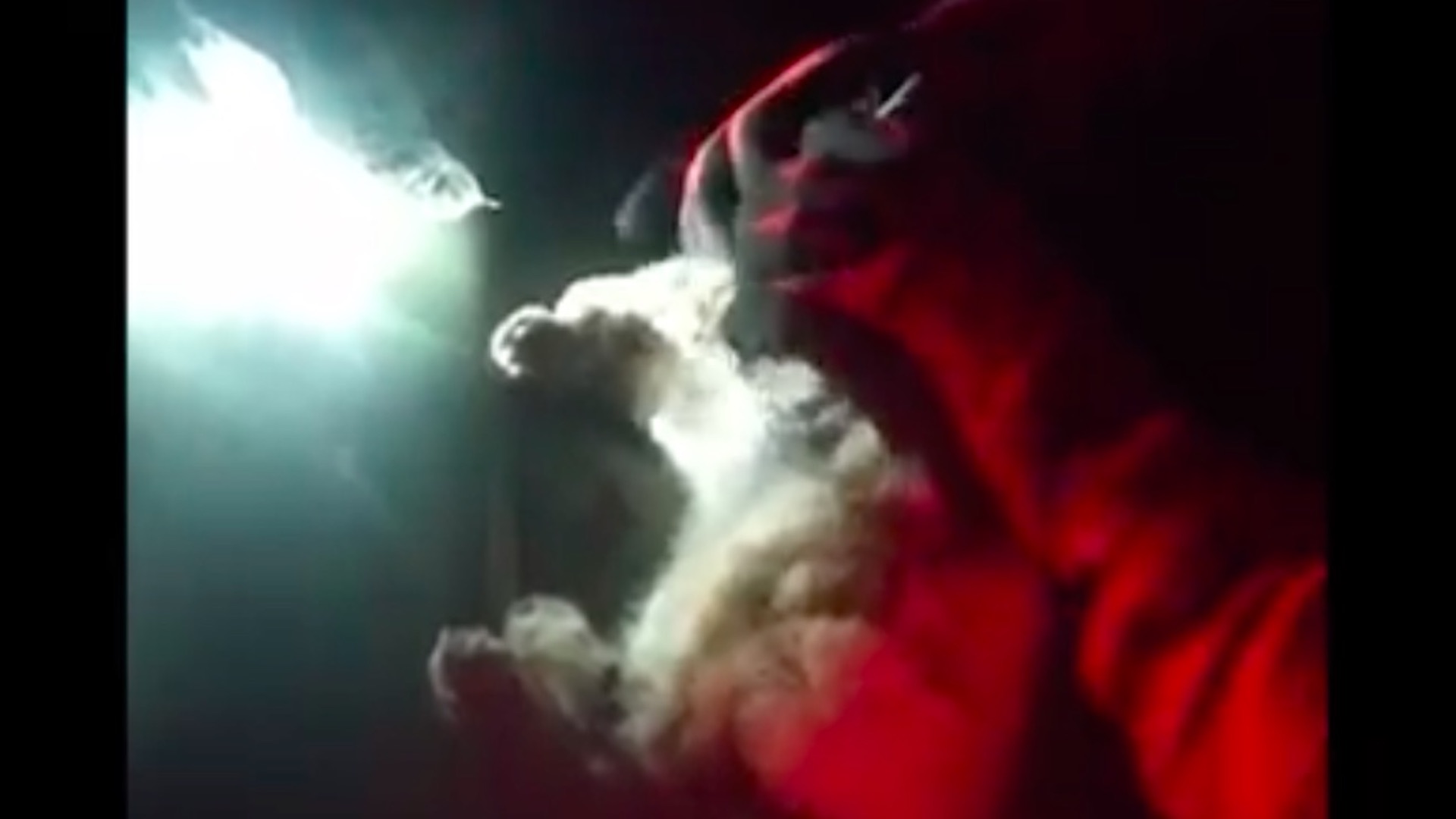 #Video Rescatista adopta a gato que salvó de cenizas del volcán en La Palma