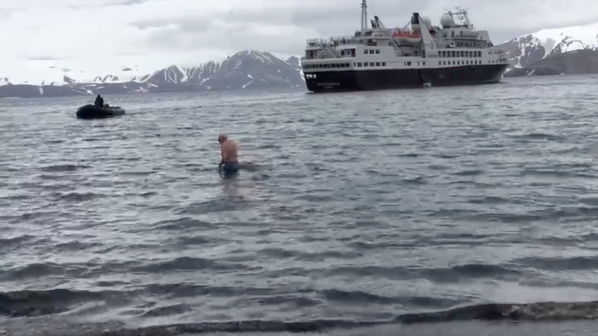 Clavado del oso polar en aguas heladas de la Antártida, por Ivonne Frid Clavado del oso polar en aguas heladas de la Antártida, por Ivonne Frid