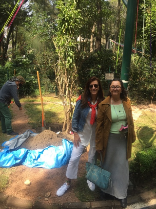 El árbol de los deseos - imagen-4